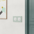 Odace - plaque de finition 2 postes - couleur vert jade
