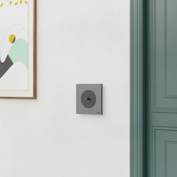 Odace - plaque de finition 1 poste - couleur gris basalte