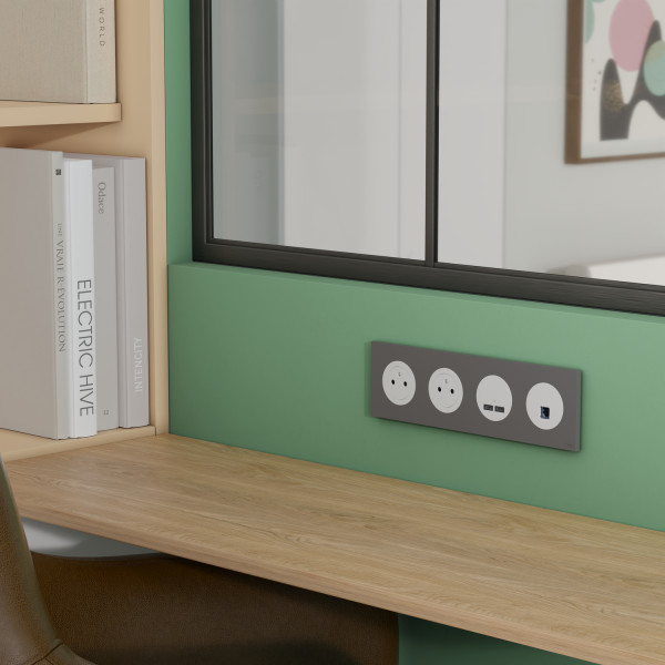 Odace - plaque de finition 4 postes - couleur gris basalte