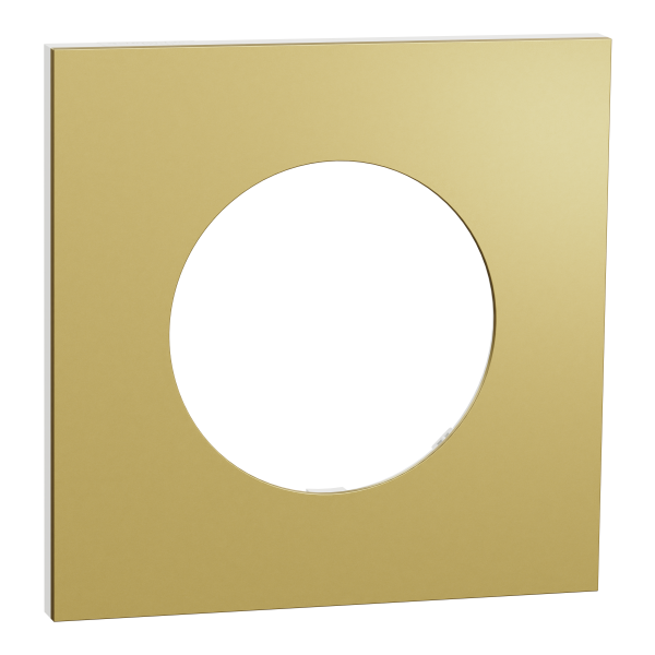 Odace métal - plaque de finition 1 poste - effet laiton support blanc