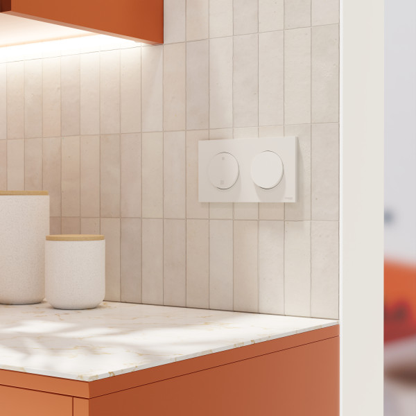 Odace - plaque de finition 2 postes - couleur blanc craie
