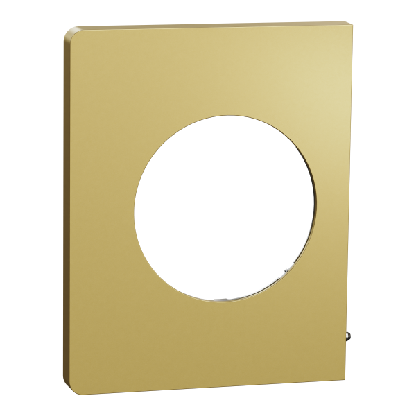 Odace architecte - plaque de finition latérale - effet laiton
