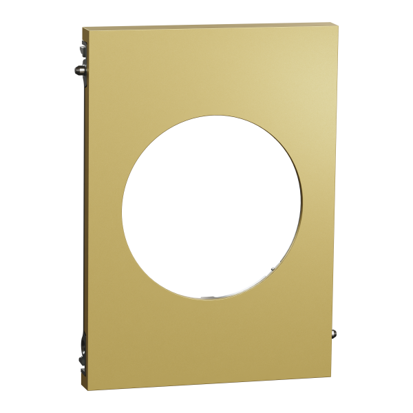 Odace architecte - plaque de finition centrale - effet laiton