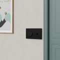 Odace - plaque de finition 2 postes - couleur noir onyx