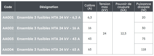 Ens. 3 fusibles hta 24 kv 16a - Michaud - AA002