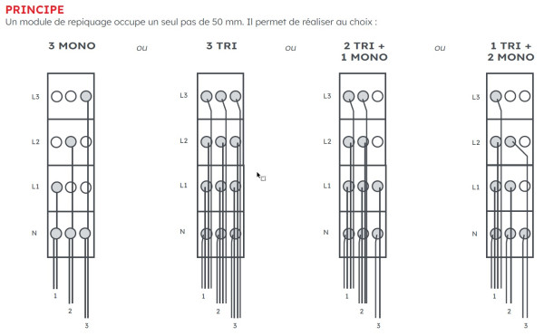 Mod. remic repiquage rbd (1n+3p) - Michaud - Q607