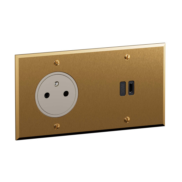 Art d'arnould - prise 2 p+t + prise usb c 30w pd-2p- mémoire or brossé  - Legrand - AR67216