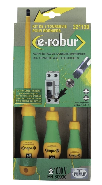 3 tournevis pour vis à empreinte mixte - AGI Robur - 221130