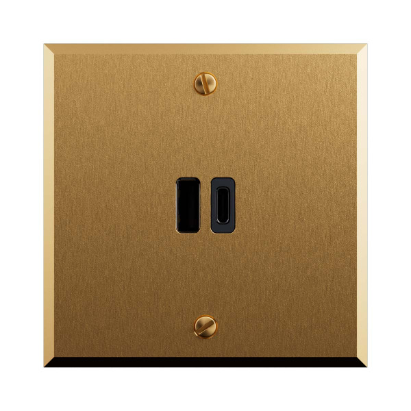 Art d'arnould - prise usb a+c - 20w pd - mémoire or brossé - art d'arnould - Legrand - AR67224
