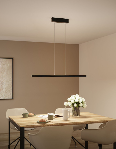 Suspension led lesko 19/3w 2300/370lm dim tunw rgbw métal plastique noir 230v - Paulmann - 78477