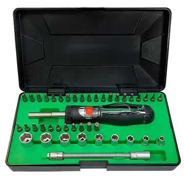 Tournevis à cliquet réversible magnétique avec embouts et douilles. coffret 42p - AGI Robur - 221191