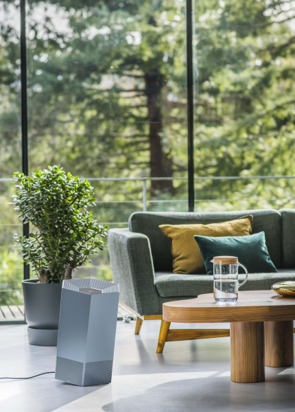 Shield - bleu saphir - JVD - 8772127-BL