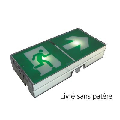 Planete adressable adr/cgline+ - 45lm/1h - ip43 ik08 - livré sans patère - Luminox - 17114SP