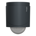 Wiser - detecteur de mouvement et luminosite exterieur anthracite - Schneider Electric - CCT564114