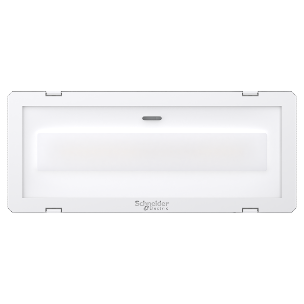 Exiway smartled amb 400lm - 1h ip 65 grand froid -25°c - Schneider Electric - OVA48526