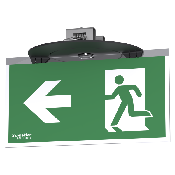 Exiway smartbeam - bloc évacuation encastré sati 45lm - 1h - ip42 - ik04 - noir - Schneider Electric - OVA59106B