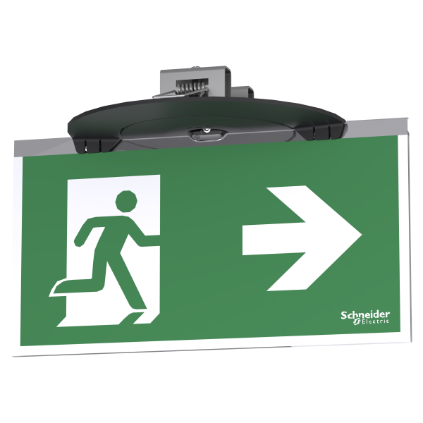 Exiway smartbeam - bloc évacuation encastré sati 45lm - 1h - ip42 - ik04 - noir - Schneider Electric - OVA59106B