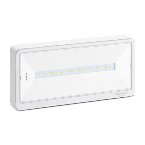 Exiway - lot de 10 blocs de secours exiway light ova59310 - ambiance ip42 sati - Schneider Electric - OVA59310P