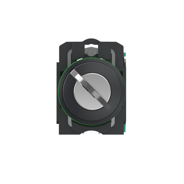 Harmony xb5 - bouton à clé 455 - Ø22 - 2 pos à rap. - retr g - 1f - push in - Schneider Electric - XB5AG615