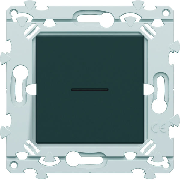 Interbp voyant anthracite - Hager - WE023A