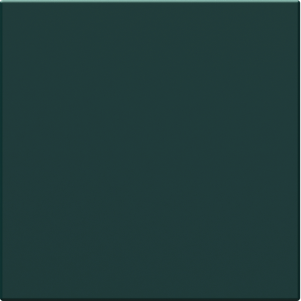 Obturateur anthracite - Hager - WE157A