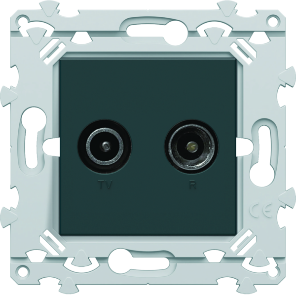 Tv+fm double direct anthracite - Hager - WE253A