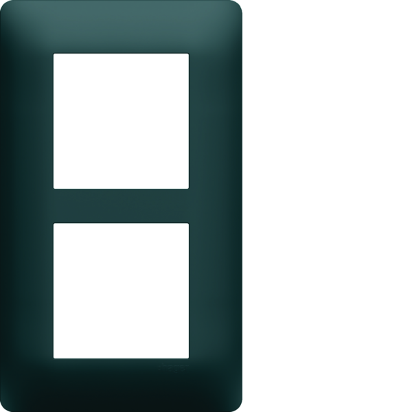 Plaque de finition essensya 2 postes anthracite entraxe 57 mm - Hager - WE526