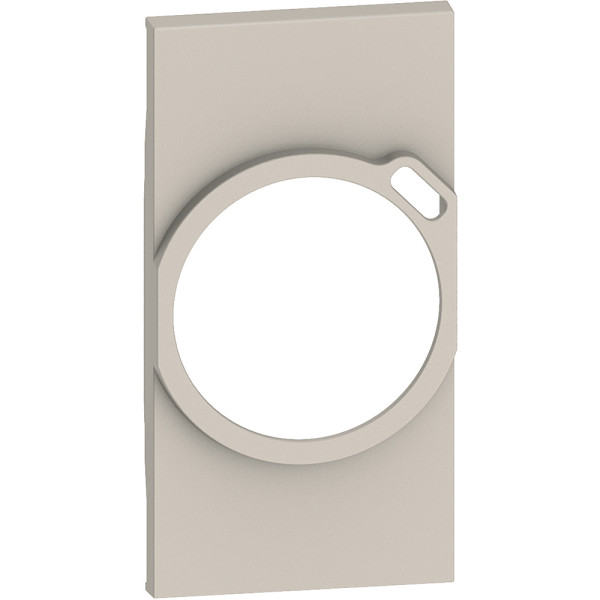 Living now - enjoliveur pour prise 2p+t + chargeur usb intégré - 2m sable - Bticino Cofrel - BTKM63