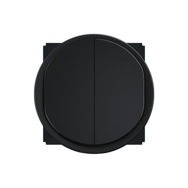 Double interrupteur ou ou 10ax noir format dépôt - céliane - Legrand - CFN2001