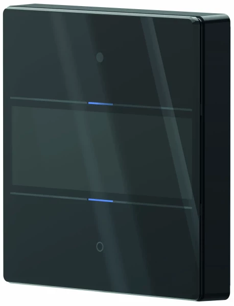 Bouton-poussoir theben luxorliving ion2 g bk - Theben - 4804412