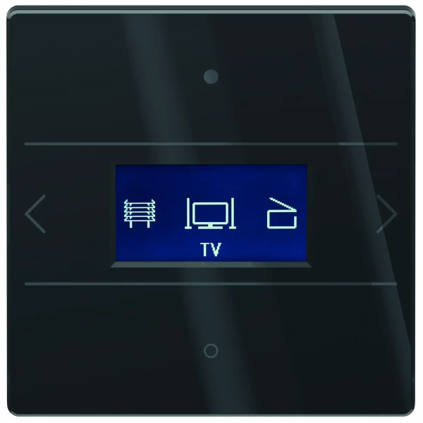 Contrôleur ambiance theben luxorliving ion8 g bk - Theben - 4804418