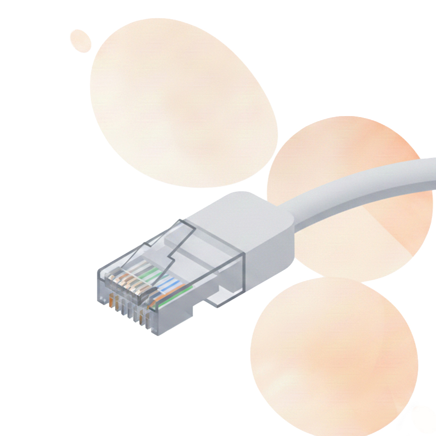 Câble RJ45